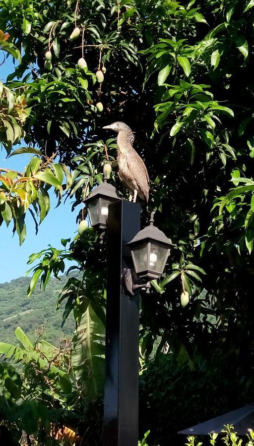 太麻里爱咪卧客民宿住宿加早餐旅馆 外观 照片